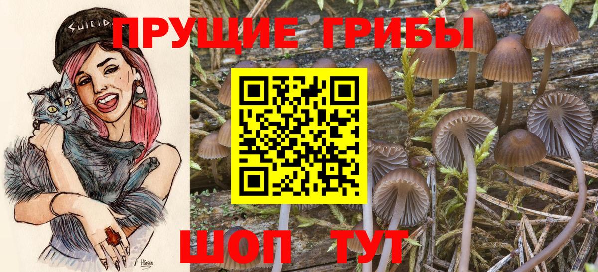 Октябрьский  Псилоцибиновые грибы Cubensis  Вход с VPN 