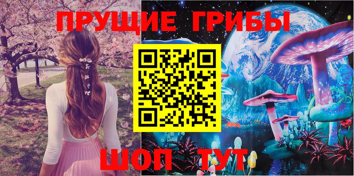 Галлюциногенные грибы прущие грибы Октябрьский
